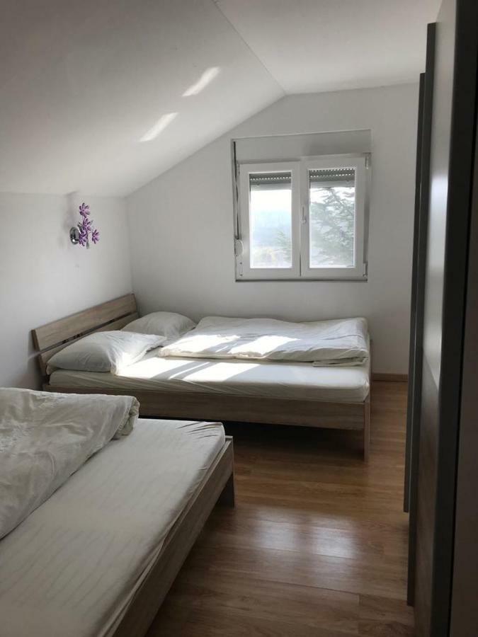 Apartmani Livk Debeljak 外观 照片